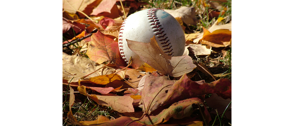 Fall Ball Registration is OPEN!