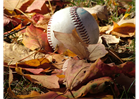 Fall Ball Registration is Now Closed