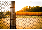 FALL BALL Rosters/Schedules