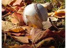 Fall Ball Registration is OPEN!